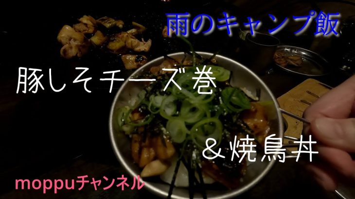 犬と雨のキャンプ飯♪豚しそチーズ巻き＆焼鳥丼作ってみた!!!