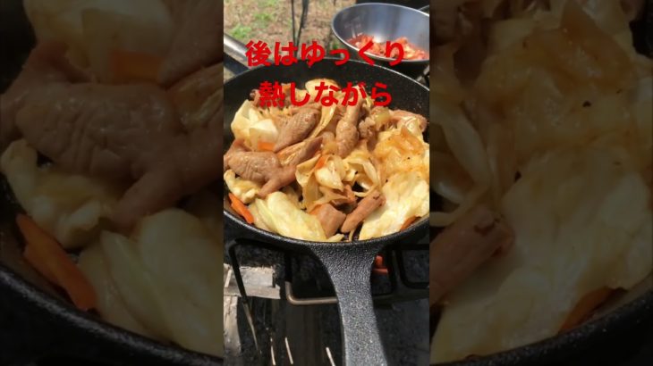 ポンコツサラリーマン　私の鉄板キャンプ飯❗️   #焚き火　#おすすめ　#ホルモン    #スキレット　#キムチ