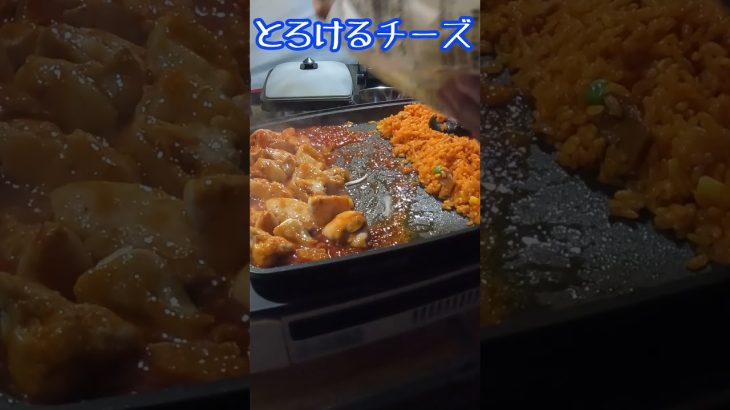【キャンプ飯】簡単でお腹も満足「チーズタッカルビ」
