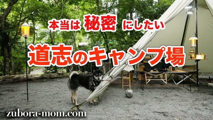 道志のおすすめキャンプ場「オートキャンプインむじな」【道志・キャンプ場紹介】