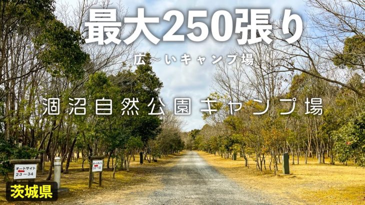 【涸沼自然公園キャンプ場(全サイト紹介)】区画サイトは全区画木で覆われているからプライベート感抜群！公営公園に併設された高規格で自然溢れるキャンプ場(茨城キャンプ場)