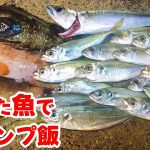二人のアラフォーおじさん釣った魚でキャンプ飯～１泊２日の釣りキャンプ～