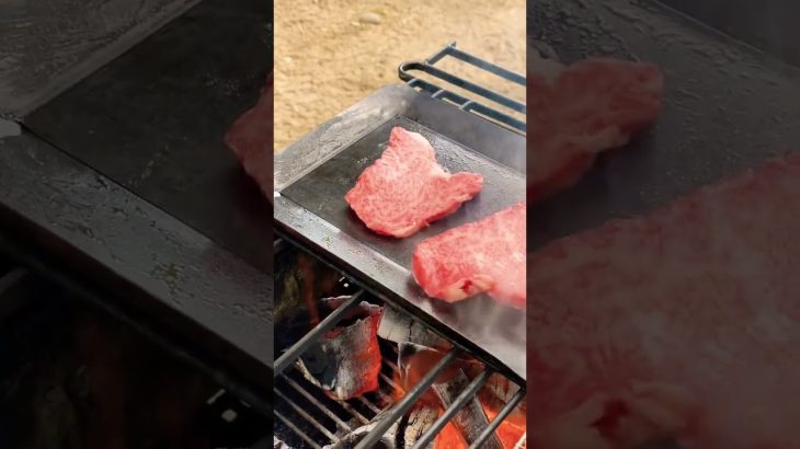 バーベキュー。肉が鉄板で焼ける音。肉ASMR。
