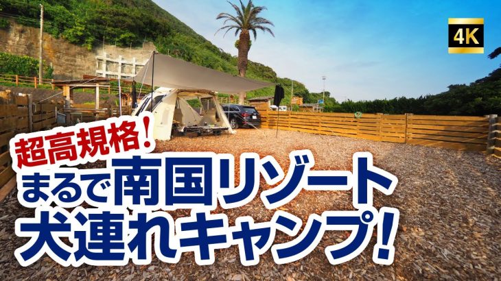 千葉県で行かなきゃ損！超高規格キャンプ場　DOG DEPT GARDEN CAMP 安房白浜