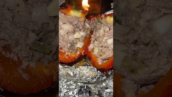 Paprika Meat Cheese【Camping Solo】#shorts