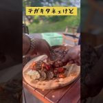 【キャンプ飯】#キャンプ#オッソブーコ#ソロキャンプ#男飯#shorts