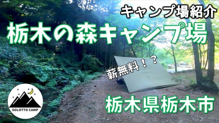 【キャンプ場紹介】栃木の森キャンプ場【栃木県栃木市】