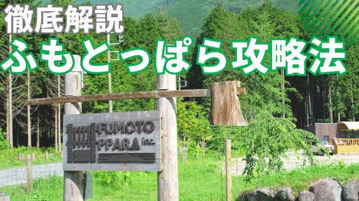 マジでおすすめなキャンプ場！　ふもとっぱらを個人的主観で徹底解説します！