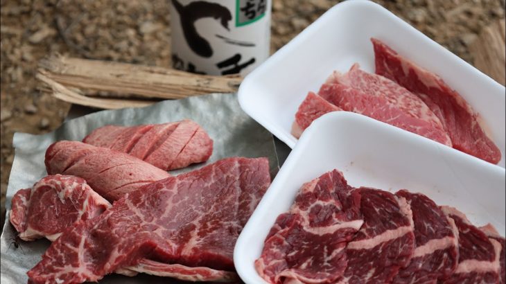 肉祭りとスマート天体望遠鏡にチャレンジなソロキャンプ（夜景と月）