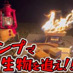 【ソロキャンプ】岐阜のおすすめキャンプ場で幻の生物を探す！和良川公園オートキャンプ場