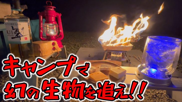 【ソロキャンプ】岐阜のおすすめキャンプ場で幻の生物を探す！和良川公園オートキャンプ場