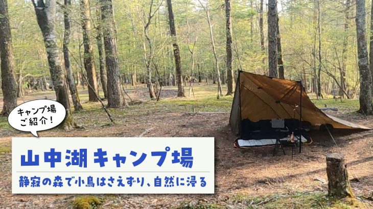 【山中湖村営キャンプ場紹介】広〜い森の中で、静か〜なチルタイムを楽しめるキャンプ場「山中湖村営キャンプ場」をロッドちゃんが隅々まで歩き回ってご案内致します。