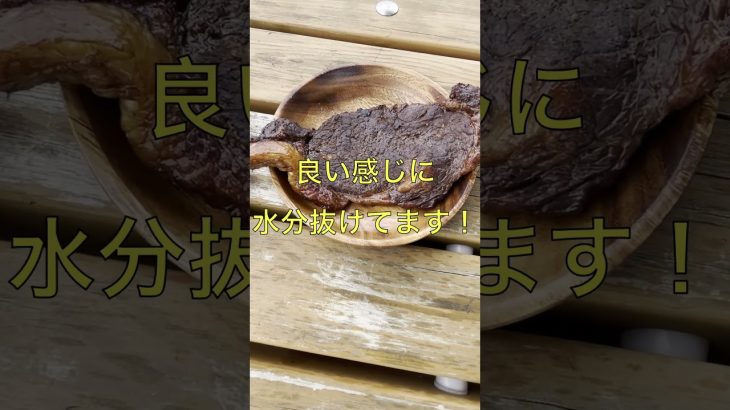 【キャンプ飯・飯テロ・燻製肉】手軽で簡単！せんべい缶で燻製ステーキ！