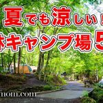 2023年夏に行きたい！涼しい森林キャンプ場5選