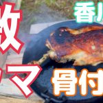 【荘内半島オートキャンプ場　浦島】香川県のB級グルメを焼いて食べまくる