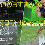北海道のおすすめキャンプ場、ニセウエコランドキャンプ場 in 2023