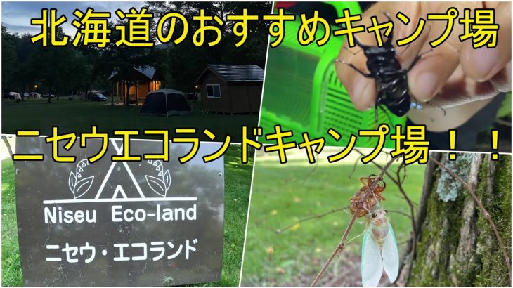 北海道のおすすめキャンプ場、ニセウエコランドキャンプ場 in 2023