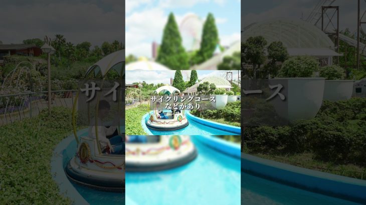 関西地域でおすすめのキャンプスポットご紹介！