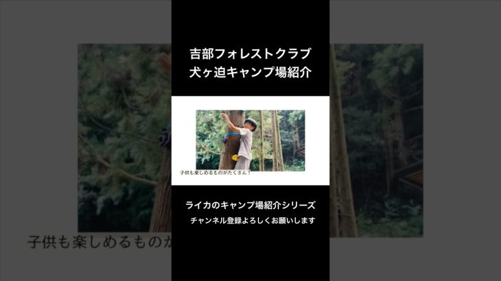 【吉部フォレストクラブ犬ヶ迫キャンプ場】　山口県キャンプ場紹介シリーズ #キャンプ #山口県キャンプ場 #おすすめキャンプ場