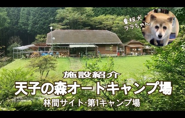 #96天子の森オートキャンプ飯施設紹介　林間サイト&第1キャンプ場