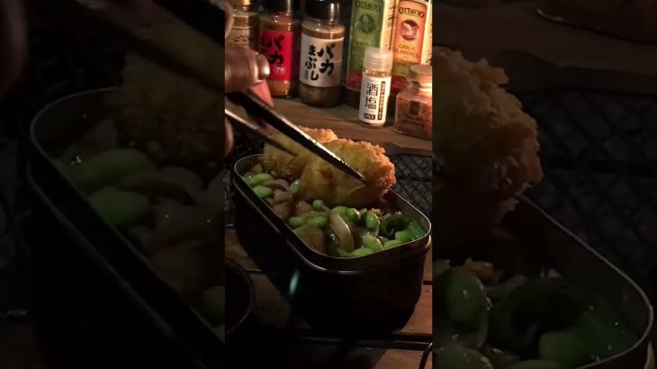 【キャンプ飯】いつかの冷やし回鍋肉うどん #キャンプ #キャンプ飯 #ソロキャンプ #cooking #焚き火調理 #ほったらかしキャンプ場