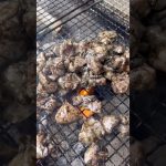 【料理】ちゃんと炭で作る鶏の炭火焼き　#shorts #炭火焼き #鶏肉