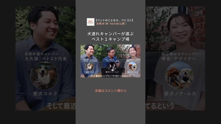 キャンプ場の選び方やおすすめグッズも✨ #犬のいる暮らし #犬とキャンプ #shorts