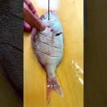 鯛の姿焼き #shorts #焼き魚 #seabream