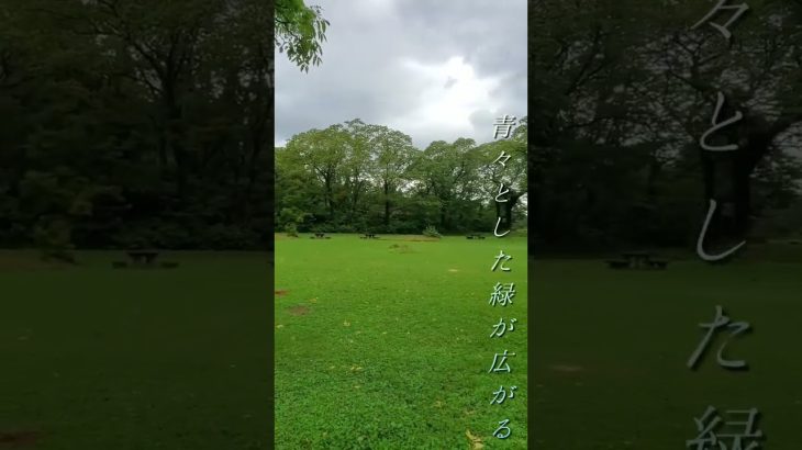 日本とは思えない絶景が溢れるキャンプ場！  #キャンプ #おすすめキャンプ場 #アウトドア #キャンプ初心者 #ソロキャンプ #新潟キャンプ#糸魚川市#ヒーリングガーデンたかなみ