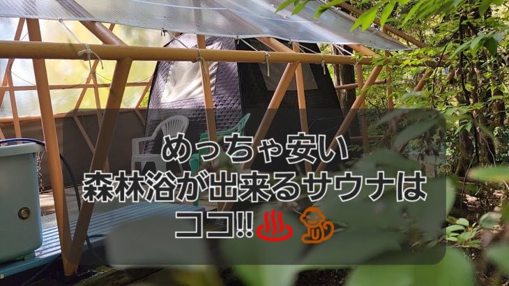 【激安サウナ】関西おすすめの安い森林浴サウナ「能勢温泉キャンプ場」でととのう!!川にも飛び込めるかも？