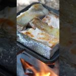 【キャンプ飯】秋鮭のキムチチーズサンド（秋キャンプ、ホットサンドメーカー） #キャンプ #camping #ソロキャンプ #camp #shorts #キャンプ飯