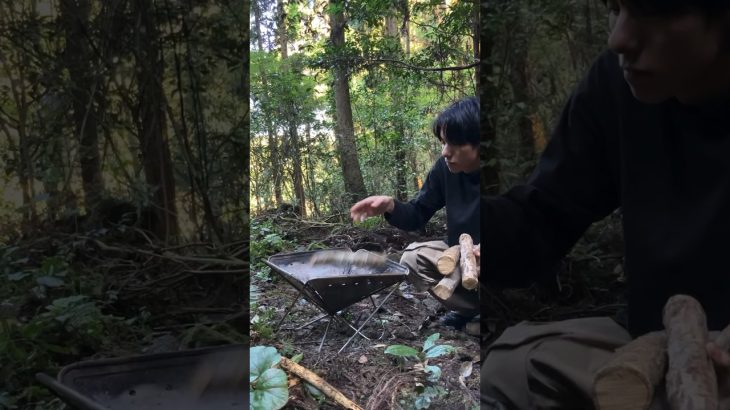 冬の森ですき焼きって最高 #shorts #short #料理 #キャンプ #camping #cooking #snowpeak #肉 #すき焼き #薪 #ご飯 #ランチ