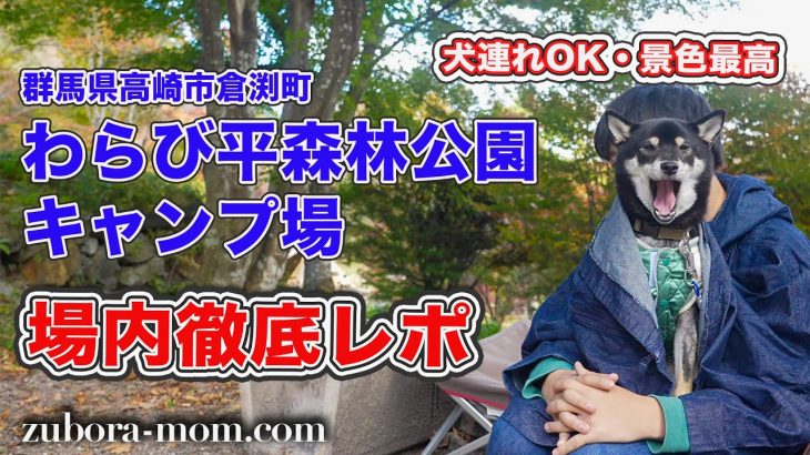 【キャンプ場徹底レポ】わらび平森林公園キャンプ場（群馬県高崎市倉渕町）