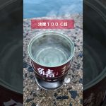 数百魚が大変！超沸騰させた湯で一撃