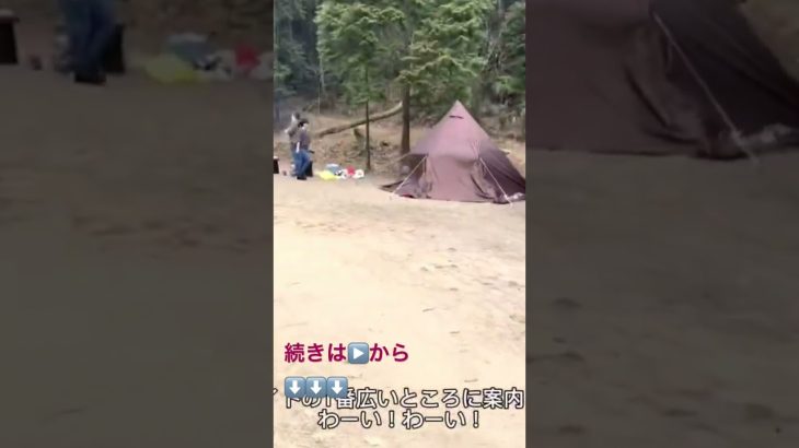 【おすすめのキャンプ場】#姫路#タロリン村#キャンプ #vlog #camp#fishing#釣り