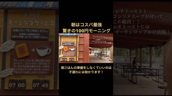 子連れにおすすめキャンプ場📍キャンプアンドキャビンズ山中湖#キャンプアンドキャビンズ山中湖#子連れキャンプ#人気キャンプ場#ファミリーキャンプ