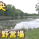 バイクツーリングでおすすめキャンプ場　北海道　道央　厚真町　大沼野営場　乗り入れごみ捨て可能