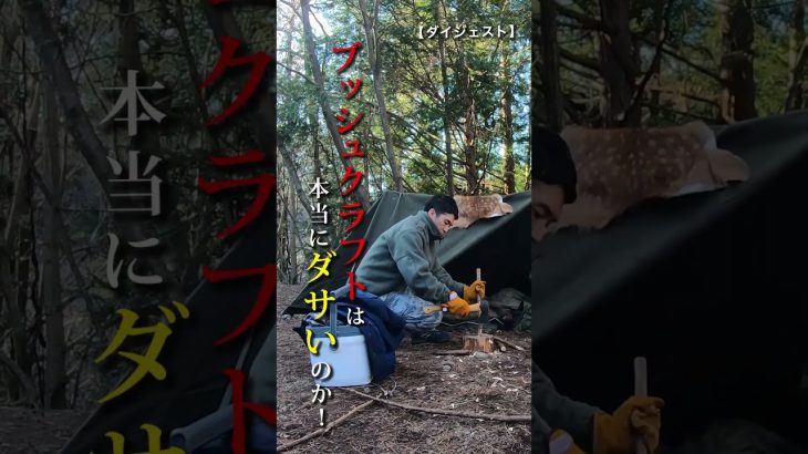【おすすめ】ブッシュクラフトの始め方。基本の野営キャンプ。