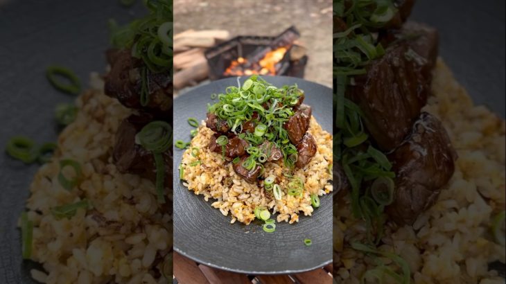 キャンプ飯『ごろごろお肉の炒飯』　#キャンプ飯 #キャンプ #焚き火