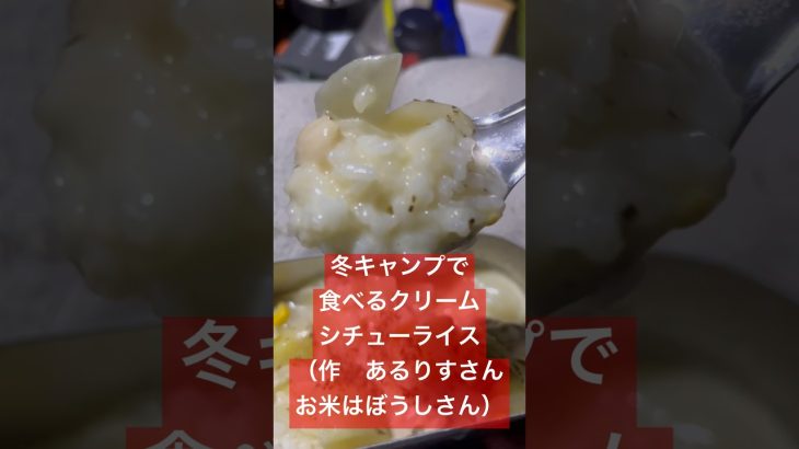 【冬キャンプ飯】極寒のキャンプの薪ストーブ前でクリームシチューを食べる！　#キャンプ #キャンプ飯 #飯テロ