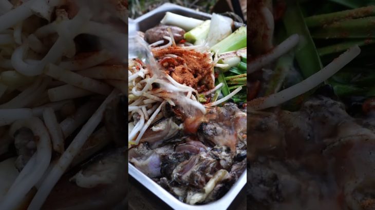 辛ラーメン鍋【キャンプ飯】