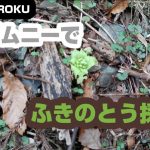 JB64 ジムニーでふきのとう採り&渓流ラーメン