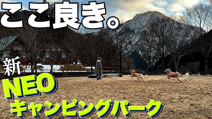 【キャンプ場紹介】進化するNEOキャンピングパークに興奮するワンコ達/帰りたくないデイキャンプ