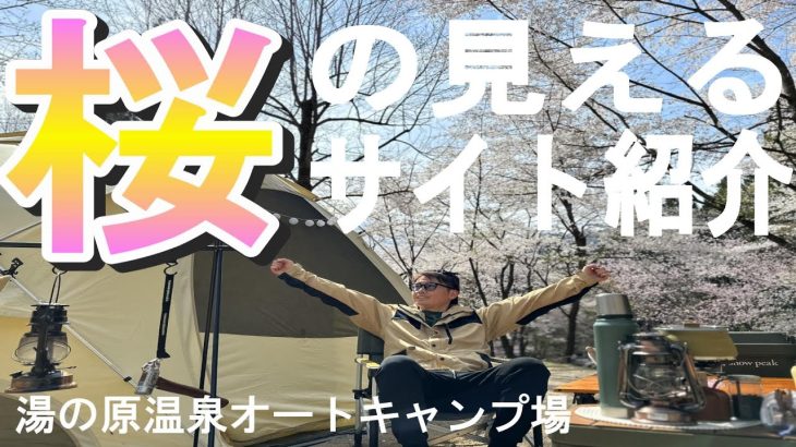 【キャンプサイト紹介】おすすめ！お花見シーズンに是非泊まって欲しい絶景の桜が見えるキャンプサイト！in湯の原温泉オートキャンプ場