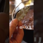 冬のふもとっぱらで牛スネ肉の赤ワイン煮込み#キャンプ #キャンプ飯 #ふもとっぱら #富士山