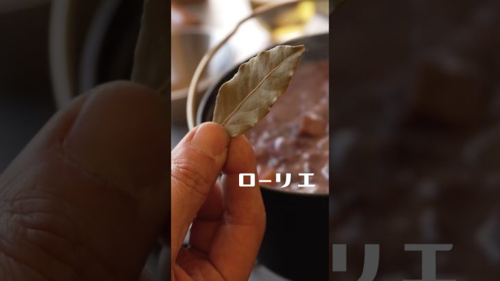 冬のふもとっぱらで牛スネ肉の赤ワイン煮込み#キャンプ #キャンプ飯 #ふもとっぱら #富士山