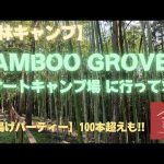 【新着】BAMBOO GROVEオートキャンプ場に行ってきた　#camping #bamboo #千葉県 #うちの〇〇