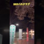 イルミネーションが綺麗なキャンプ場✨ロハスファイブエイト🏕️#shorts #キャンプ #おすすめ #camping #綺麗#58LOHASCLUB