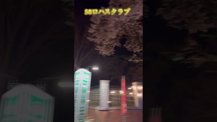 イルミネーションが綺麗なキャンプ場✨ロハスファイブエイト🏕️#shorts #キャンプ #おすすめ #camping #綺麗#58LOHASCLUB