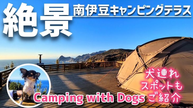 オーシャンビューのキャンプ場【南伊豆キャンピングテラス】崖を吹き上げる唸る上昇気流！ ペット可の飲食店や犬連れおすすめスポットも巡るキャンプ旅♪
